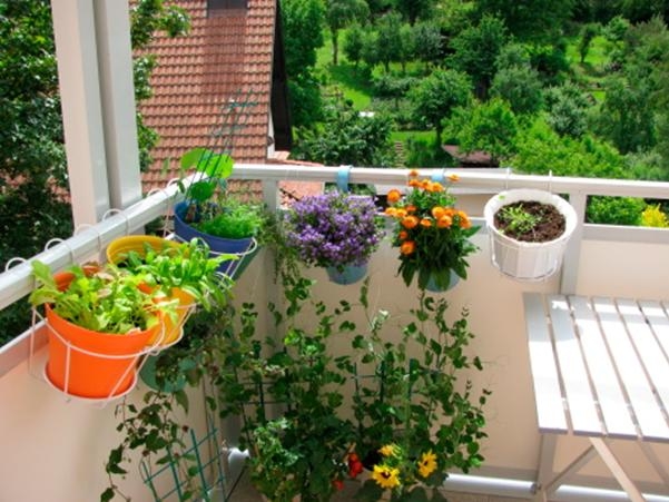 gardening_in_a_small_space_we_have_it_covered