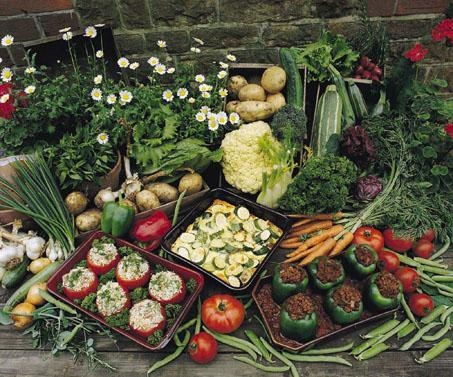 how_to_prepare_your_vegetable_garden
