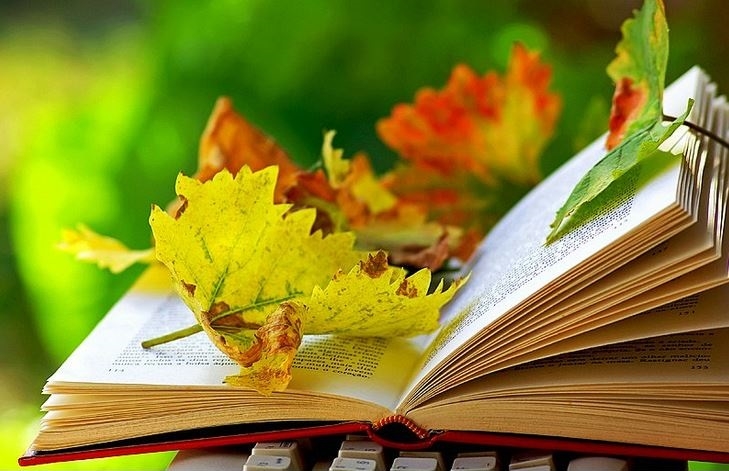 choiceful_stop_autumn_reads