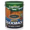 Cuprinol Ducksback Weatherproof Sheds and Fence Paint Forest Green 5Ltr 5092438 | Quick Drying | Low Odour | Easy to Use | Showerproof in Just 1 Hour