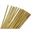 JVL Bamboo Canes Natural 61cm 20Pk 05002