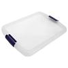 Cell Store Box With Lid Clear 37.5cm x 49.5cm D431-NAT