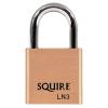 Henry Squire Heavy Duty Lion Brass Padlock With 2 Keys 31.5mm LN3