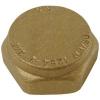 Orcastar Blanking Nut Brass 0.75-Inch PF285