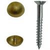 Heavy Duty Polished Brass Mirror Screws 1.25-Inch 25Pk BB2087