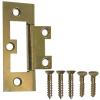 Flush Hinges Brass Plated 63mm 2Pk 30509