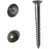 Big Bags Chrome Plated Mirror Screws 1.6-Inch 25Pk BB2288 