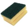 Spontex Washup Pads Green 2Pk 60803120