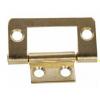 Flush Hinges And Screws Brass Plated 38mm 2Pk 30696