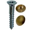 Bulk Hardware Mirror Screws and Brass Dome Bright Zinc Plated 25mm 2Pk 30988