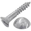 Chrome Plated Mirror Screws 1-Inch 25Pk BB2286