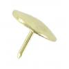 Starpack Brass Plated Drawing Pin 9.5mm 100Pk 72144