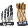 Am-Tech Assorted Size Hex Shank Wood Drill Bit Set Golden and Silver Set of 14-Pcs F1740