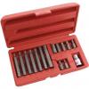 Am-Tech Assorted Chrome Vanadium Steel Hex Allen Bit Set With Storage Case Metallic Silver 15Pk I8550 