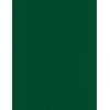 Polyvine Brunswick Green Acrylic Enamel Paint 50ml RGE050BG