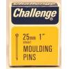 Challenge Moulding Pins Bright Silver 25mm/1-Inch 24Pk 11006