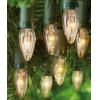 Premier Eighty Bulb Multi-Action Outdoor Lights Clear LV078109C