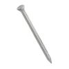 Starpack Bright Zinc Plated Masonry Nails Bright Silver 30mm 40Pk 72290