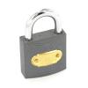 Securit Tricircle Brass Cylinder Iron Padlock 32mm S1120 