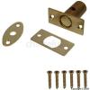 Big Bags Window Security Rack Bolts Brass Plated 0.25-Inch 3Pk BB2726